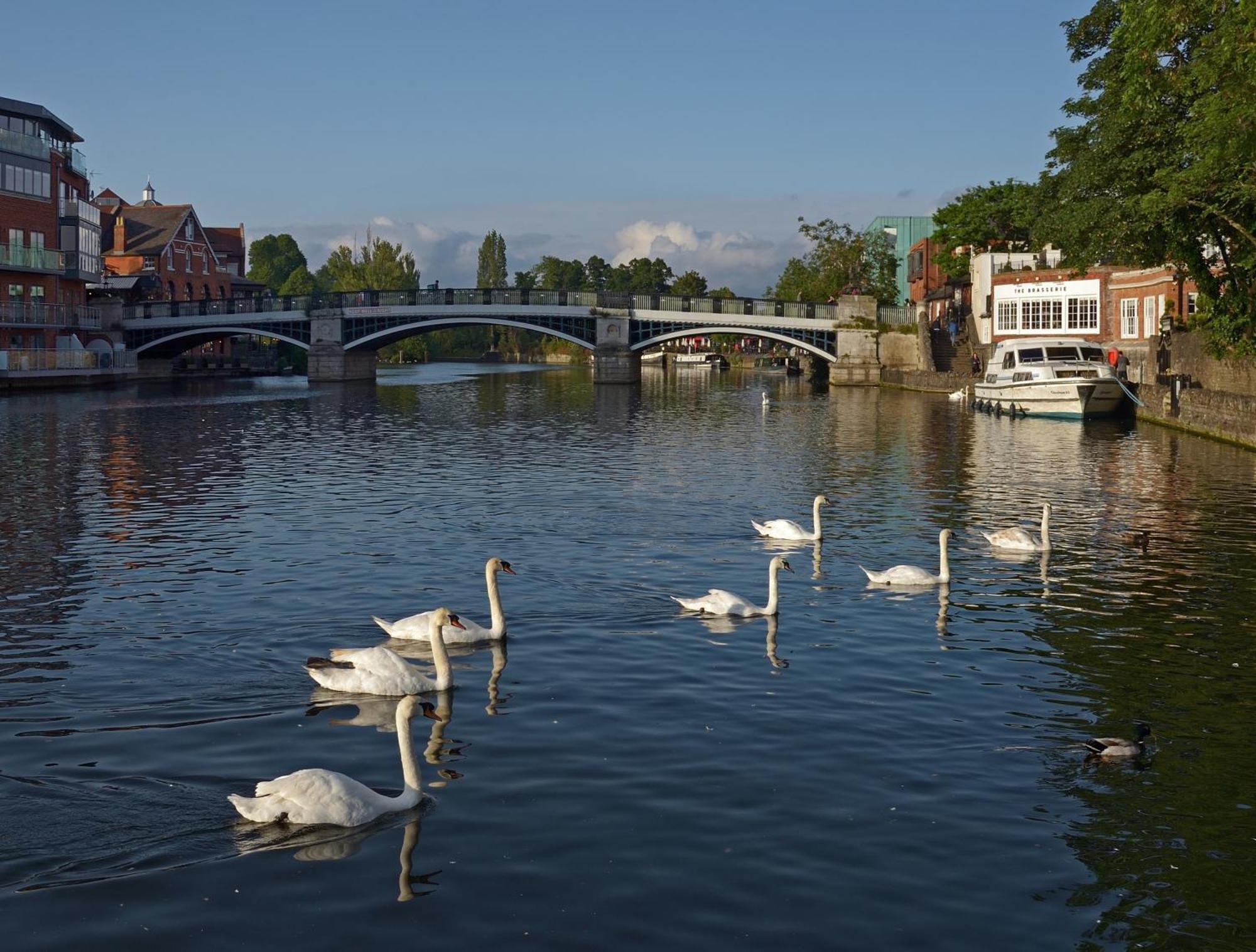 Top Floor En-Suite Double Bedrooms With Great View Of Windsor Castle & Free Parking Екстер'єр фото